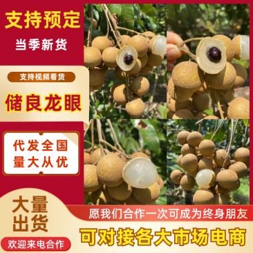 【贵港龙眼】广西储良龙眼基地大量供应品质保证代发全国