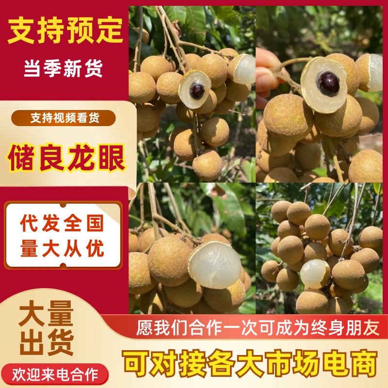 【贵港龙眼】广西储良龙眼基地大量供应品质保证代发全国