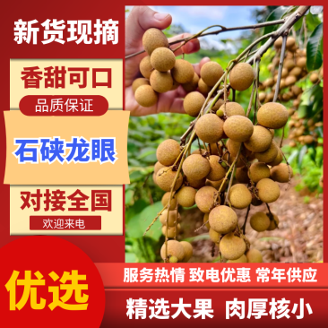 【放心购买】石硖龙眼广西石硖龙眼供应市场社区团购商超