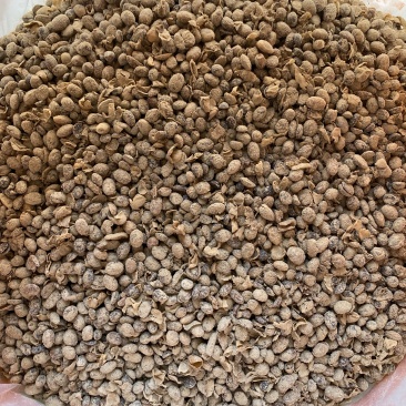 益生菌发酵腐熟大豆生物有机肥，瓜果蔬菜，茶树药材底肥