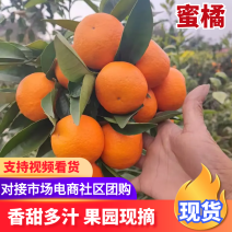蜜橘四川蜜橘基地直发皮薄多汁供应全国市场电商商超