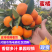 蜜橘四川蜜橘基地直发皮薄多汁供应全国市场电商商超