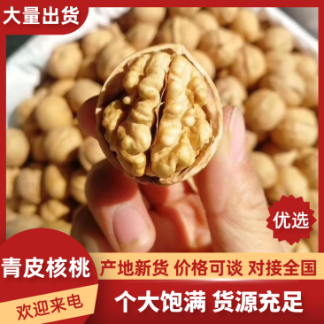 新疆阿克苏185纸皮核桃，干核桃，产地直批
