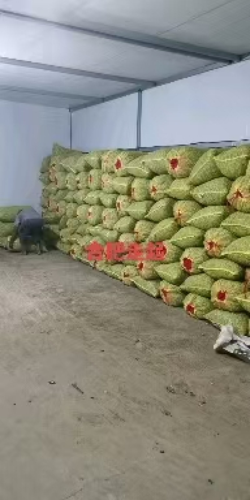 【精品】白沙花生，大白沙小白沙系列，新鲜现摘对接全国！