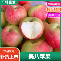 河北唐山美八苹果大量上市大小车都有货货源充足需要老板联系