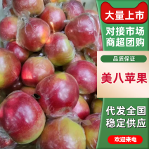 美八苹果产地直销量大只有价格优惠欢迎各大老板采购