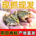 稻田青蛙一手货源全国发货可视频看货现抓现发