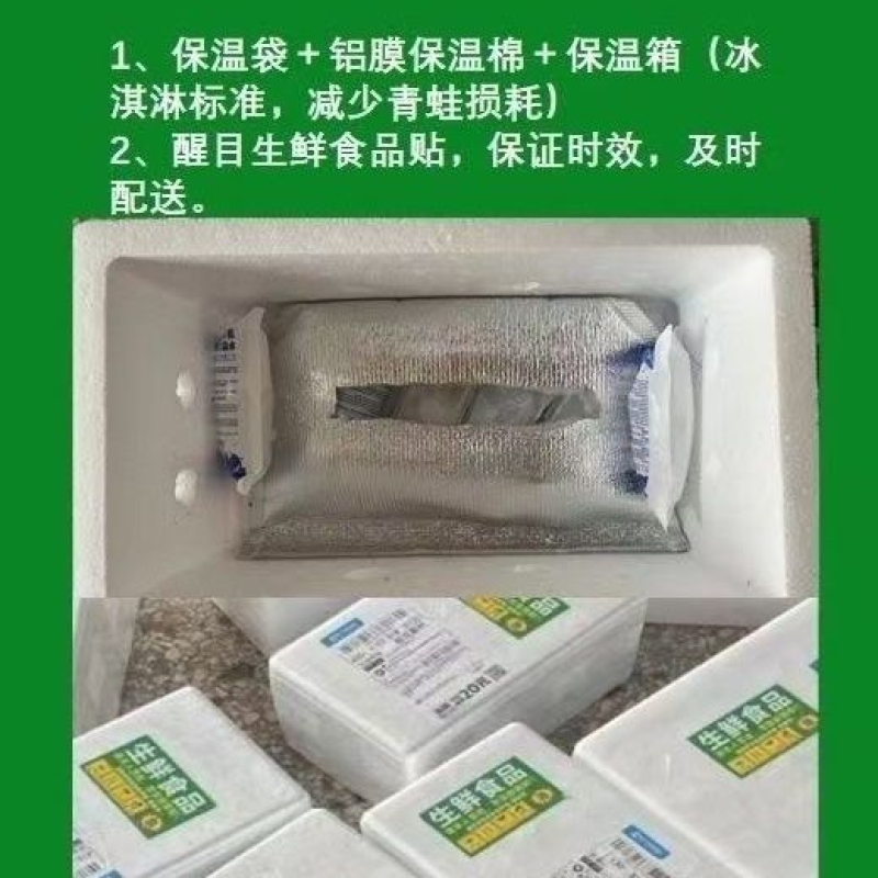稻田青蛙一手货源全国发货可视频看货现抓现发