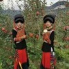 杨晓才的一亩田店铺
