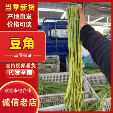 山东青条豆角,产地直发,物美价廉,产地直发
