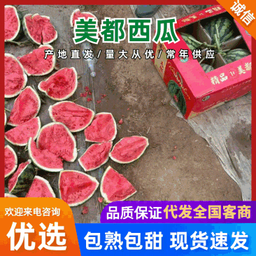 夏邑精品美都无籽西瓜大量供应一手货源欢迎联系要货