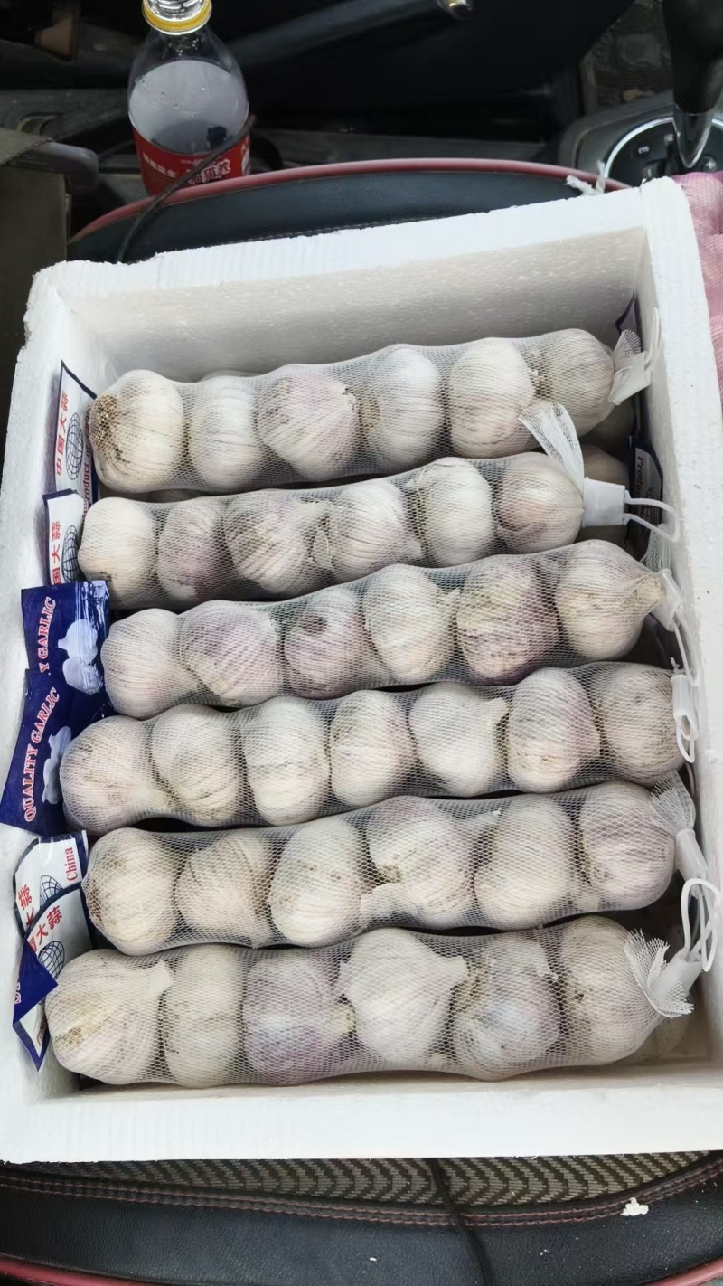 河北大名产区大蒜紫皮蒜量大质优价格优惠欢迎咨询采购