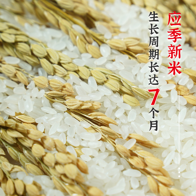 【陇间柒月】八月富硒大米2.5kg