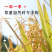 【陇间柒月】八月富硒大米2.5kg