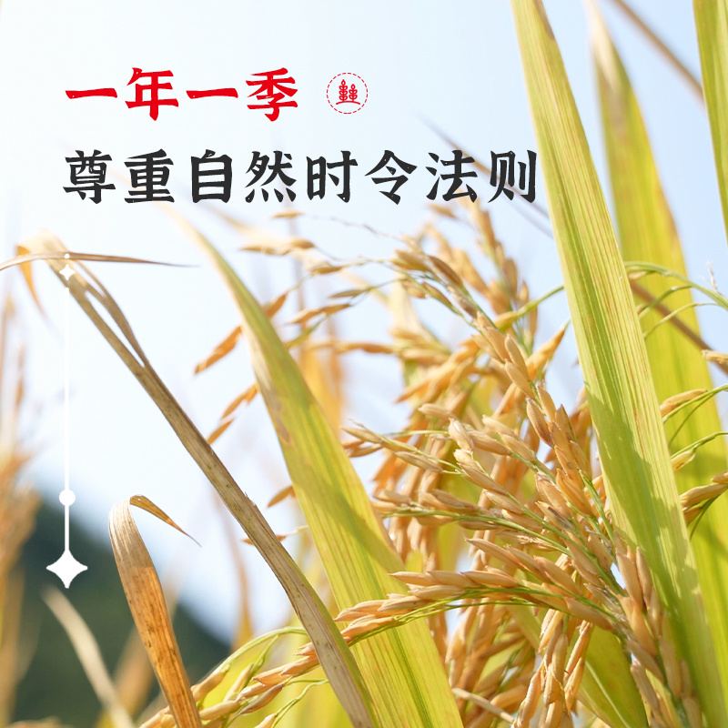 【陇间柒月】八月富硒大米2.5kg