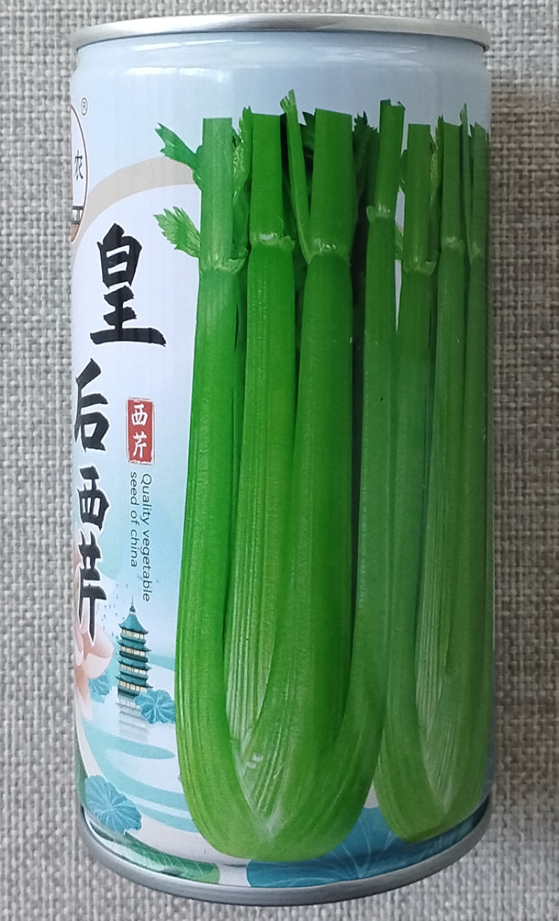 皇后西芹种子优质脆嫩芹菜种籽翠绿色长势快抗病高产耐热耐寒