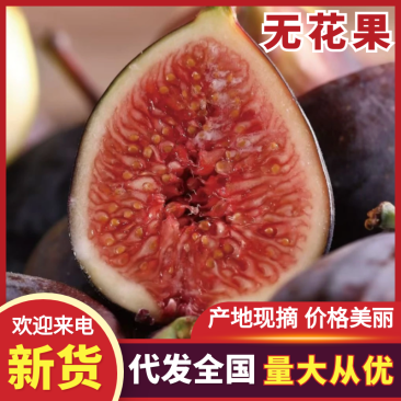 无花果，现货现发，源头基地，现摘现货，基地直发价格实惠