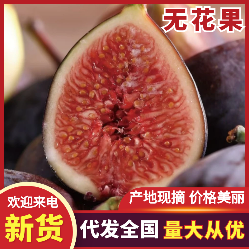 无花果，源头基地，现摘现货，基地直发价格实惠