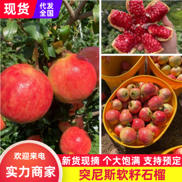 突尼斯软籽石榴四川石榴现摘现发对接电商社区团购