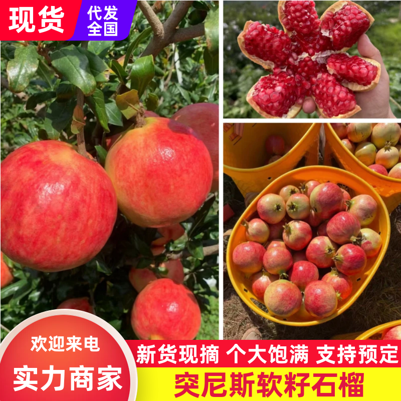 突尼斯软籽石榴四川石榴现摘现发对接电商社区团购