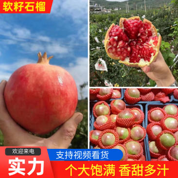 软籽石榴四川石榴产地一手货源提供一条龙服务