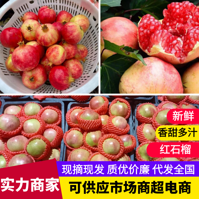 红石榴四川石榴产地直发品质保障可对接电商保质保量