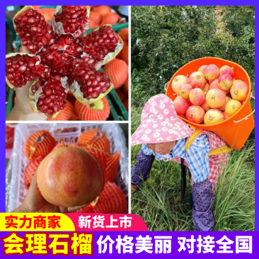 会理石榴产地直发货源充足商超品质甜美多汁量大优惠