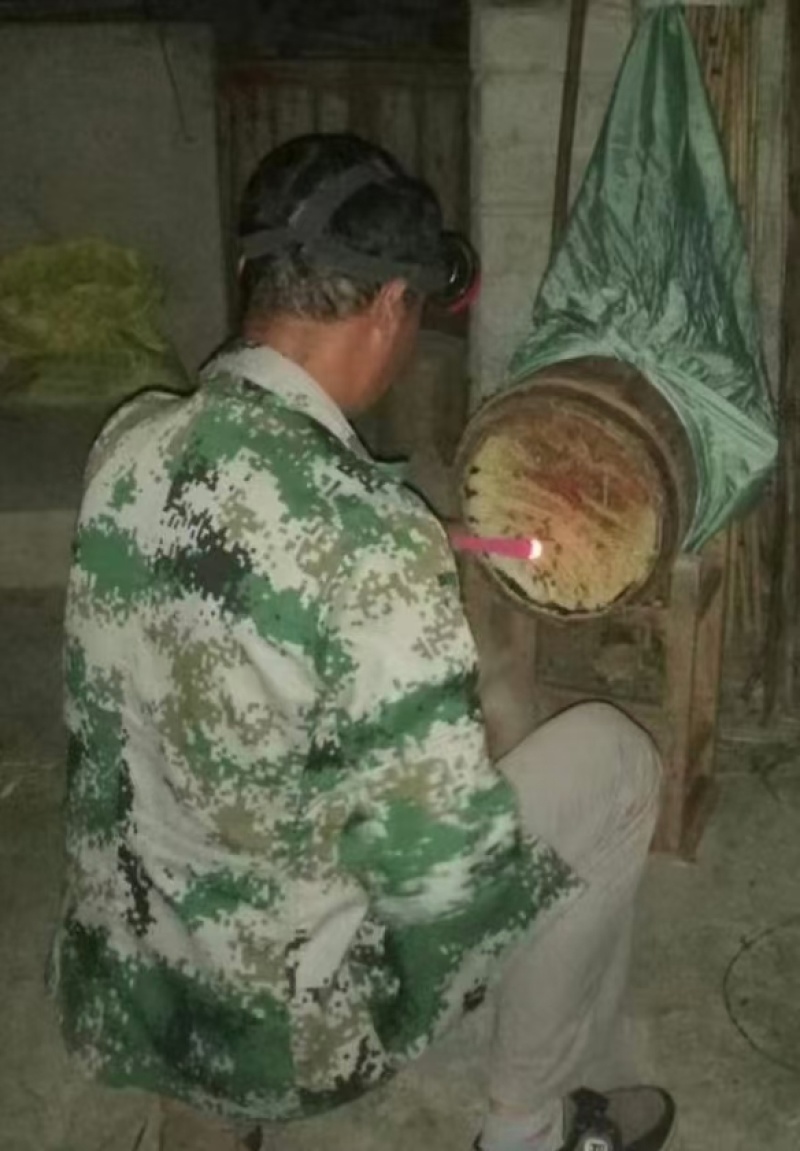 正宗土蜂蜜大量供应产地直发价格优惠关系下单品尝