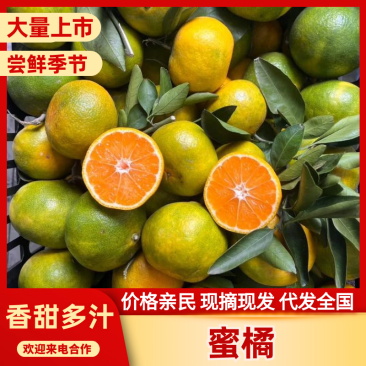 华宁蜜橘云南蜜橘皮薄多汁现摘现发量大从优欢迎致电