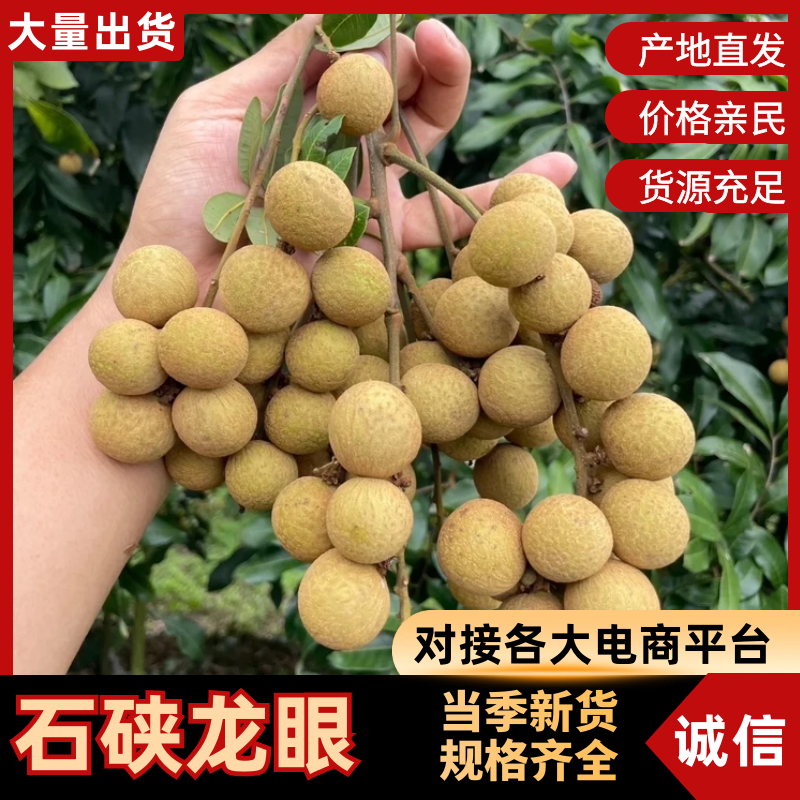 【龙眼】石硖龙眼广西龙眼核小肉多产地直供量大从优