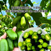 【省内包邮】软枣猕猴桃一件代发3斤装5斤装按需包装