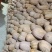 江苏精品南瓜/蜜本南瓜/量大价优/质量上乘/欢迎咨询