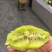 咸阳武功翠香猕猴桃大量上市/精品猕猴桃自产自销质量保证