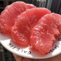 三红蜜柚红肉、橙肉蜜柚产区大量供应诚信经营