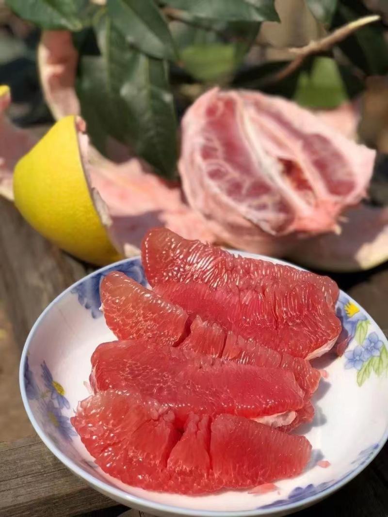 三红蜜柚红肉、橙肉蜜柚产区大量供应诚信经营