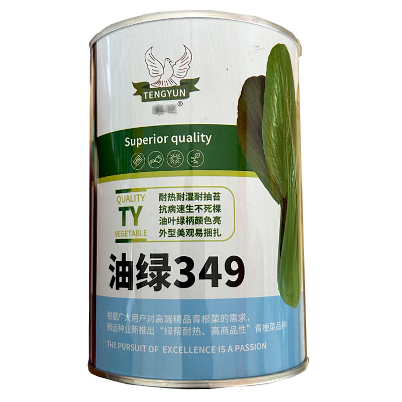 油绿349耐热四季青梗菜种子100g耐湿耐热油绿色