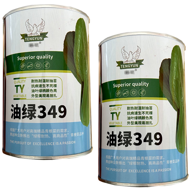 油绿349耐热四季青梗菜种子100g耐湿耐热油绿色