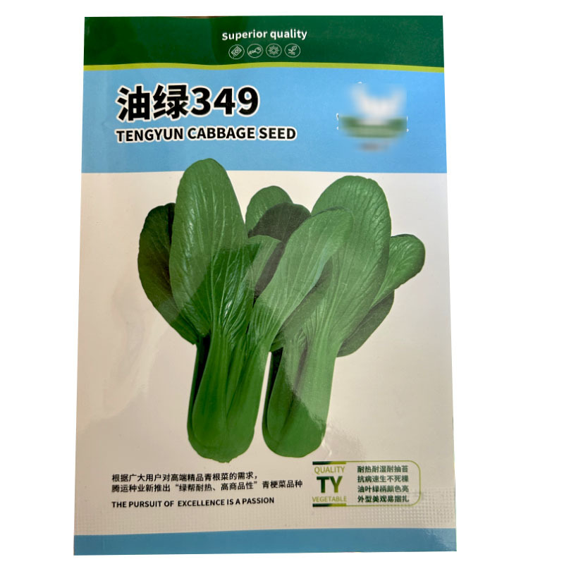 油绿349耐热四季青梗菜种子100g耐湿耐热油绿色