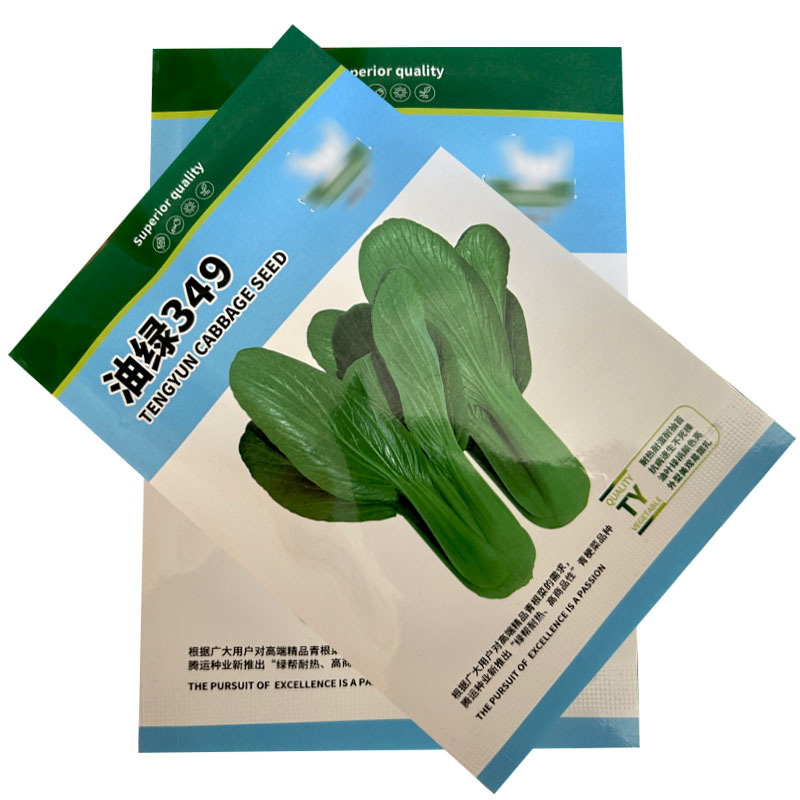 油绿349耐热四季青梗菜种子100g耐湿耐热油绿色
