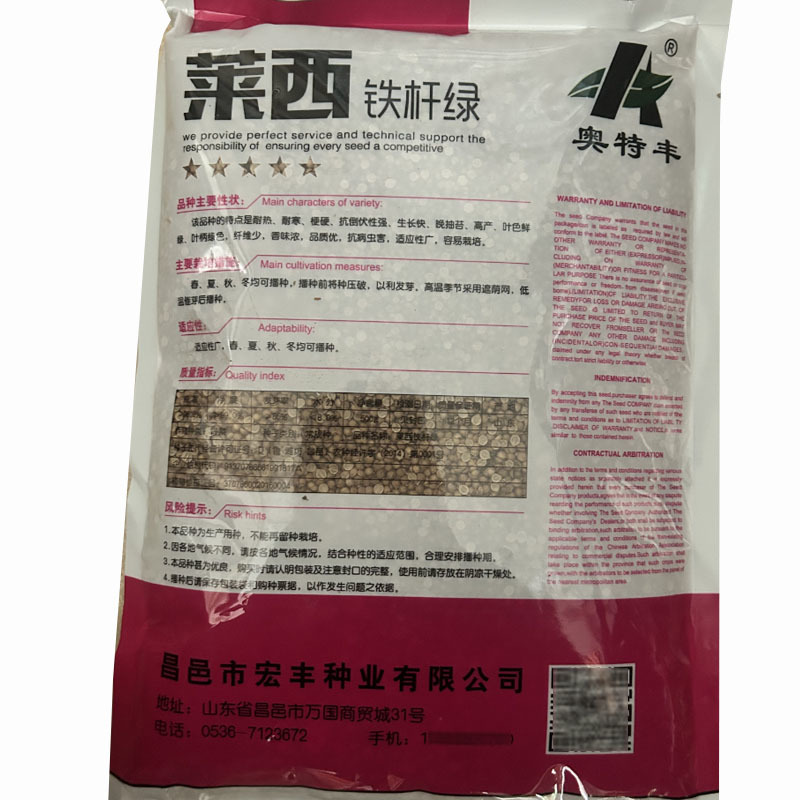 莱西铁杆绿香菜种子500g耐热耐寒生长快高产晚抽苔