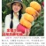 金蟠99号蟠桃苗6月上旬成熟不裂果不炸核口感香甜