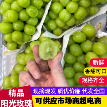 果园直采协助装车阳光玫瑰粒粒饱满甜度可口