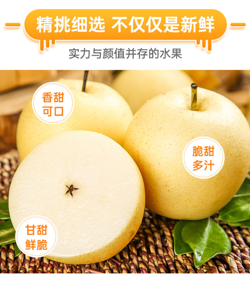 河北白皇冠梨一件代发产地直发一手货源对接各大电商平台