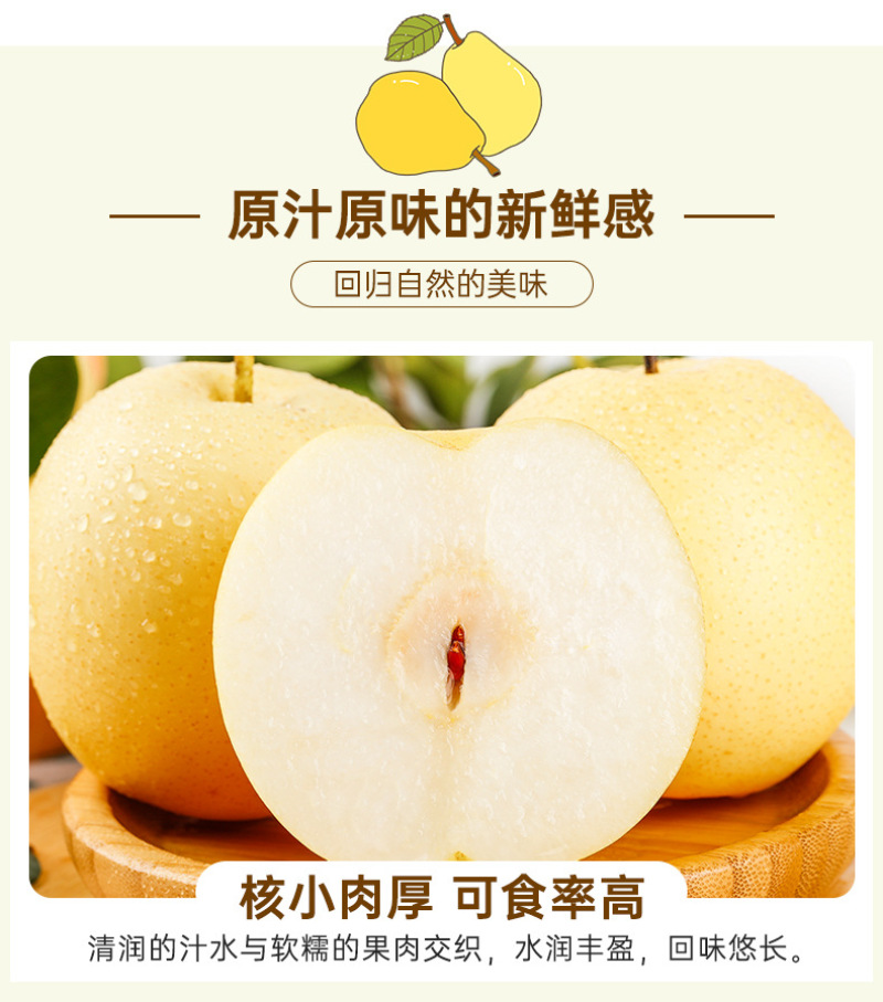河北白皇冠梨一件代发产地直发一手货源对接各大电商平台
