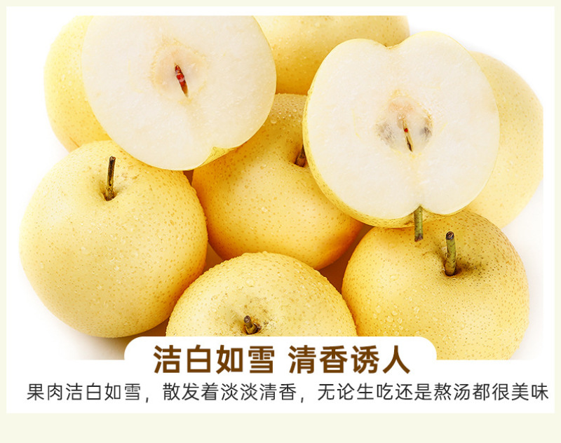河北白皇冠梨一件代发产地直发一手货源对接各大电商平台