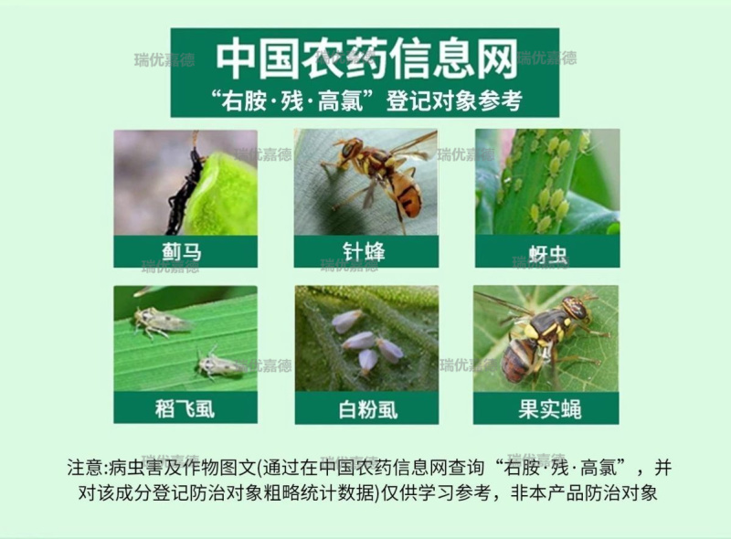 敌快10%右胺残高氯卫生蚊蝇蜚蠊蟑螂臭虫跳蚤果实蝇瓜实蝇