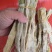 【好货】笋干盐笋干陕西笋干常年供应量大从优欢迎下单