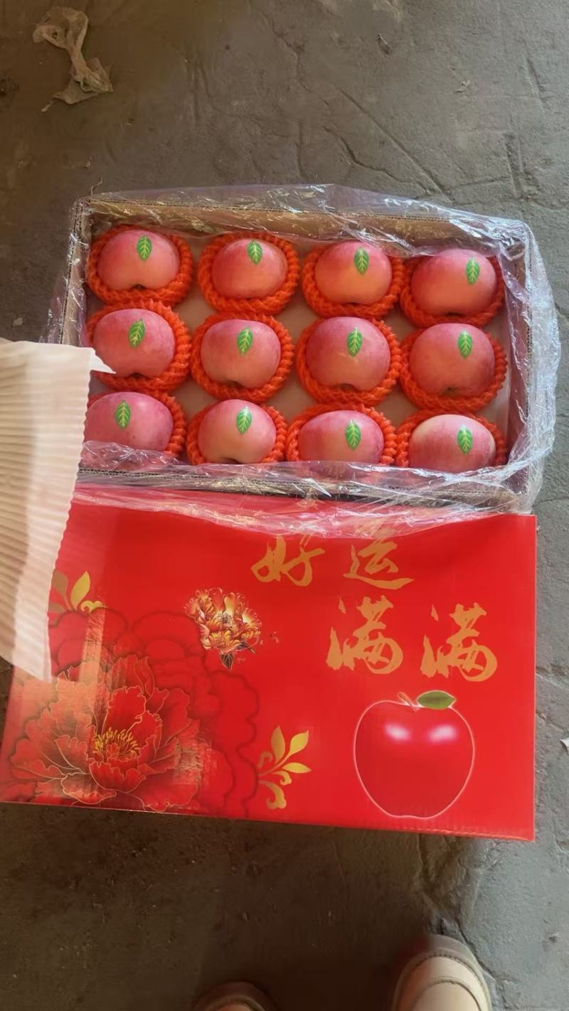 山东苹果产地红富士苹果价格优惠市场货外贸货海量货源稳定供应