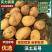 【内蒙土豆】内蒙沃土5号土豆黄皮黄心基地直发放心购买