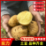【品种齐全】内蒙精品土豆荷兰十五土豆量大从优代发全国